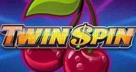 Twin Spin Slot