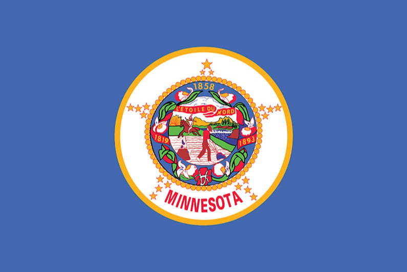 Minnesota state flag